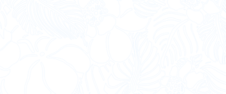 Back Light Blue.png