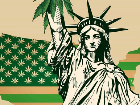 U.S Mayors wants to end Marijuana Banking Issues and End Prohibition