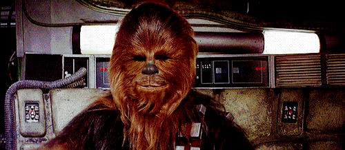 WOOKIEE 1.gif