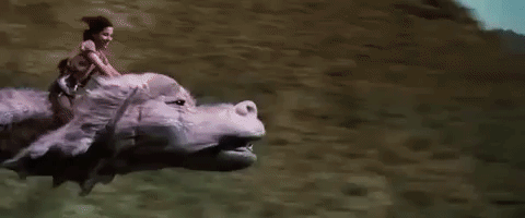 FALKOR.gif
