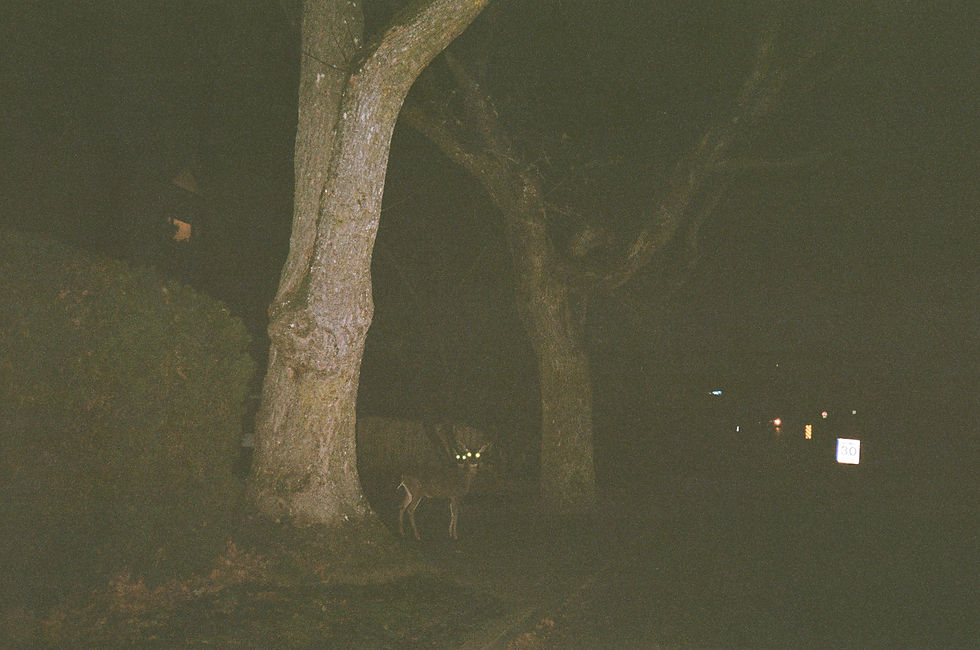 True Crime and Gossip