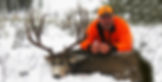 lfp id muley