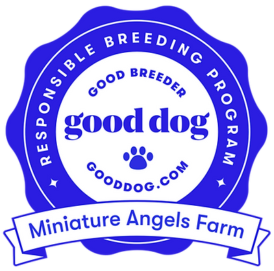 Good Dog Badge.png