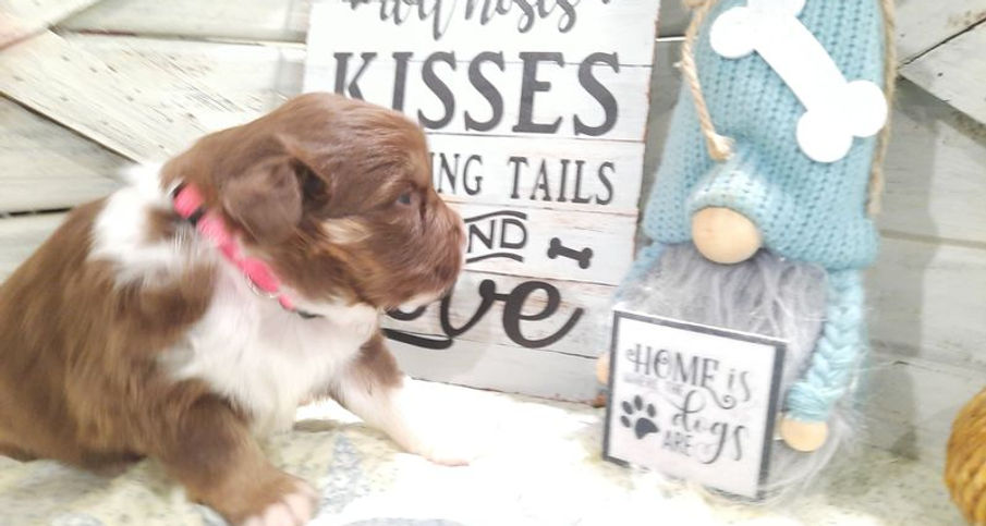 Lexi at 2 weeks 10.jpg