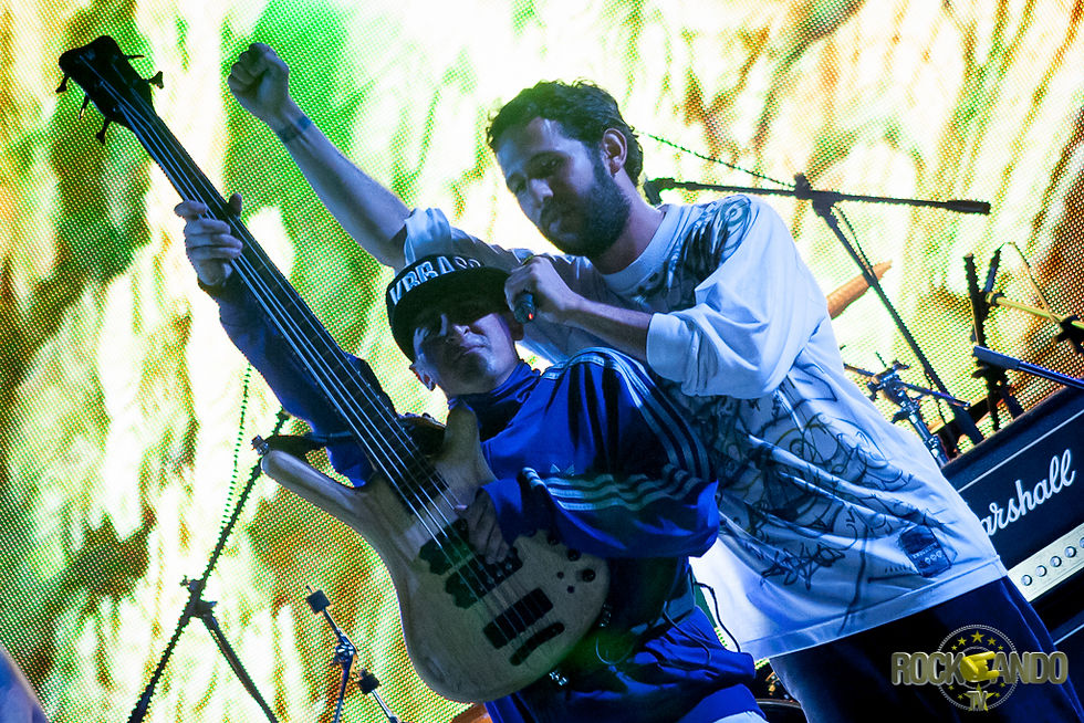 4 CABEZAS_0004.jpg
