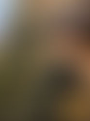 Mime Combat at the Lonestar Smash