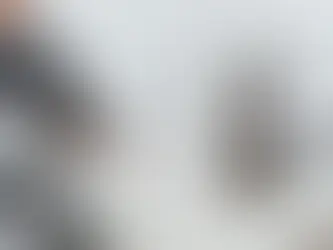 Oregon Trustee: Your Guide to Choosing Wisely