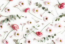AdobeStock_315036898.jpeg