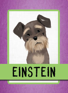Einstein_Card_preview.jpeg