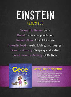 Eintein_Card_back1_preview.jpeg