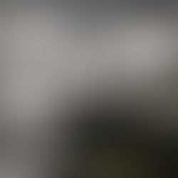 List the things you like