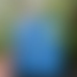 The things you can only see when you slow down : A book recommendation 