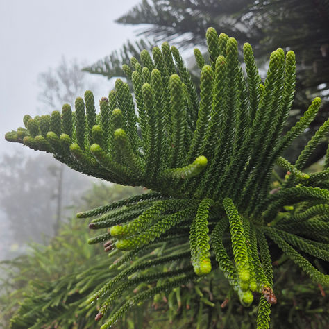 How am I supposed to feel? – War & Humanity