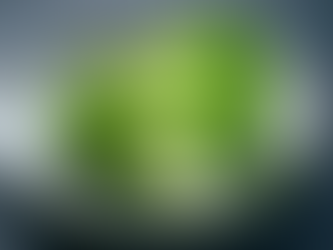 Why "don't" diets work - continued?