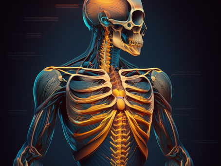 The "MECHANICS" of the "Skeletal System"