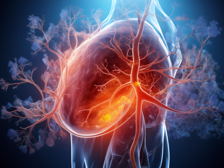 "Stomach Acid's" Journey . . .