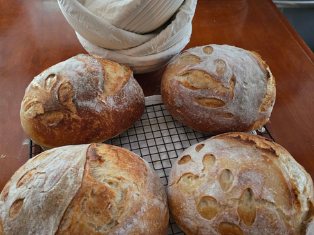 Sourdough - continued
