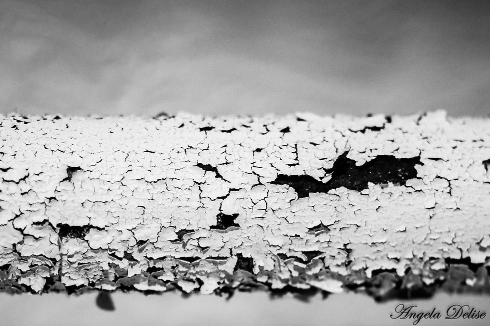 Photography