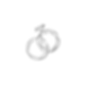 Copy of SS LOGO Colour (1).png