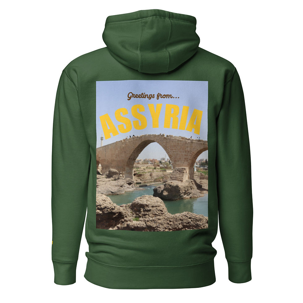 Thumbnail: Greetings from Assyria Hoodie