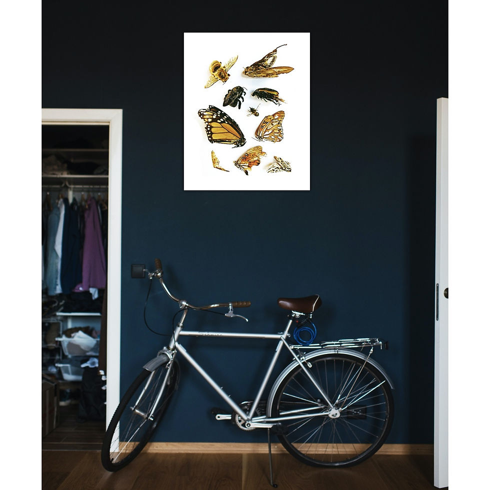 Thumbnail: Backyard Flyers insect handcrafted photography artwork - Urban Natural Designs