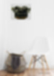 Urban Natural Designs Curly Brush handcrafted photography artwork on wall