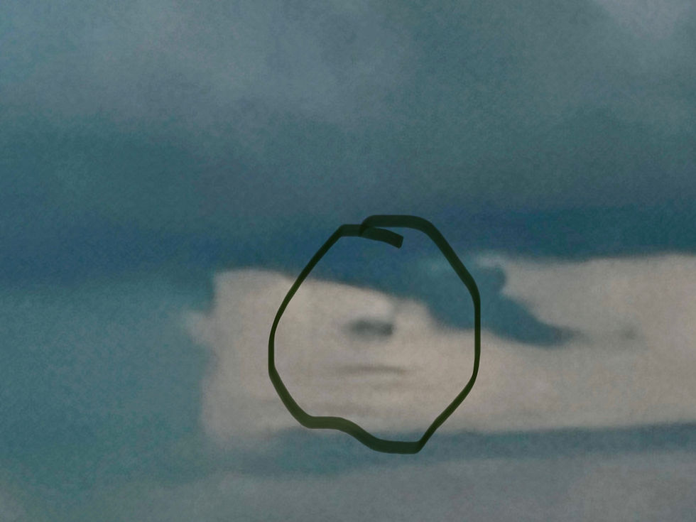 This is the craziest image! Carvers grandparents were on their way home that night and saw nose and lips in the clouds! A sign from above