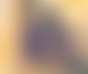       What is The IUNT? ¿Qué es la IUNT?