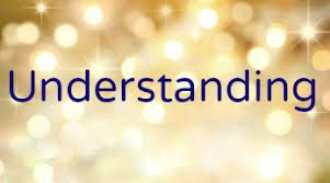 Understanding vs Assumptions