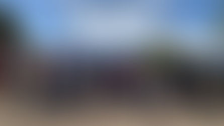 Honoring Memorial Day