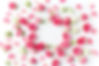 rosa-y-blanco.jpg