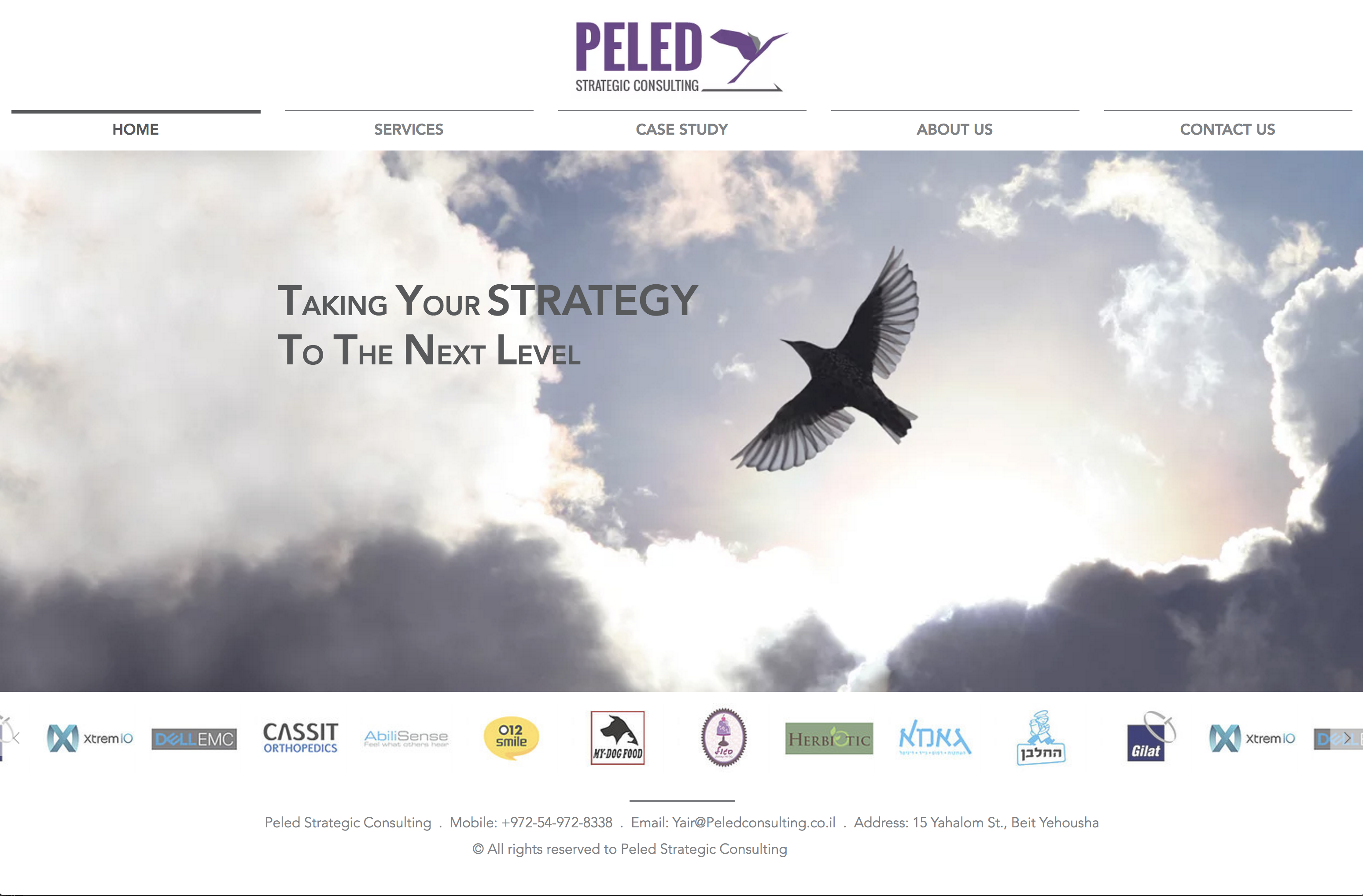 PELED strategic consulting