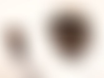 Raila Odinga with raised fist