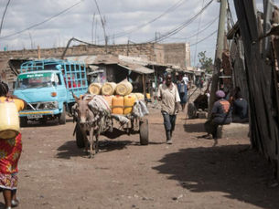 Step up social protection and vaccinate the most vulnerable now