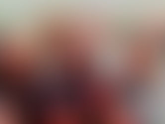 Tribute to Joe, a national hero