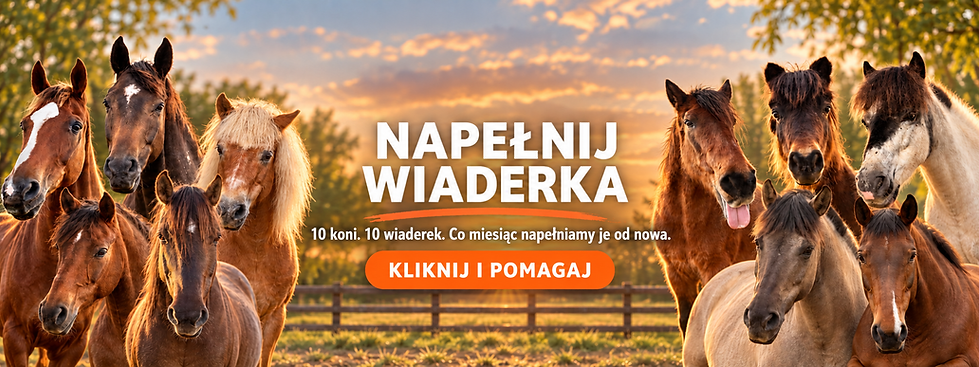 ChatGPT Image 9 wrz 2026, 22_12_16.png