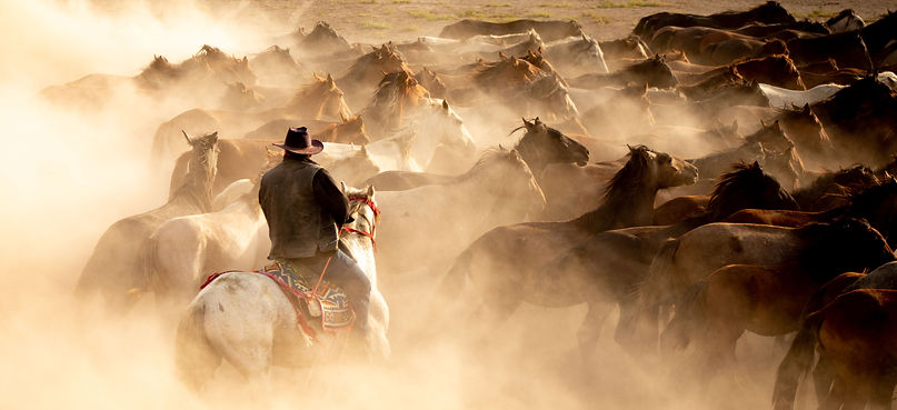 a cowboy leads horses at the end of the day_edited.jpg