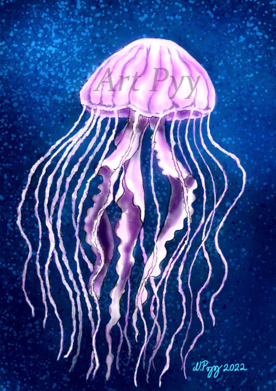 Jellyfish