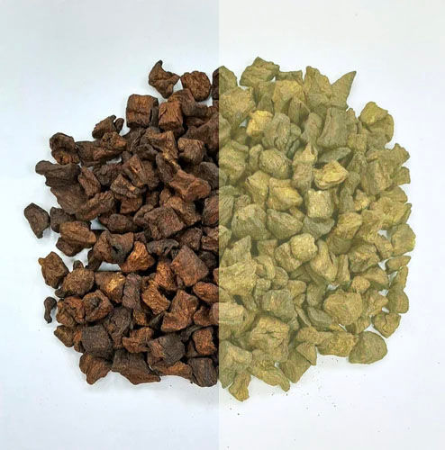 roasted & unroasted-chicory-500x500 copy.jpg