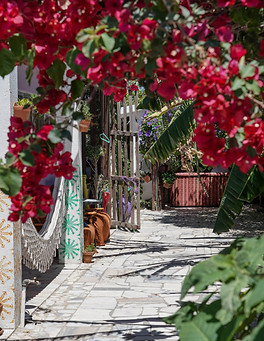 Cópia de SB_09138.jpg