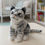 Thumbnail: Tickles Grey Sitting Cat Soft Toy - 25 cm