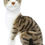 Thumbnail: Tickles Tabby Cat Animal Toy 28 CM