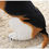 Thumbnail: Tickles Beagle Sitting Dog 30 CM