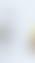 포켓몬센터 온라인 신규 대기줄 시스템?