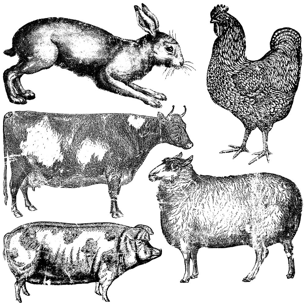 IOD-DS FarmAnimals