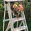 Miniature : Decorative ladder