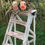 Miniature : Decorative ladder