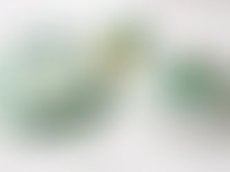 Why Do We Wear Green… and Get Pinched on St. Patrick’s Day?