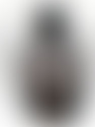 Welcome to ACRO's Discussion Forum