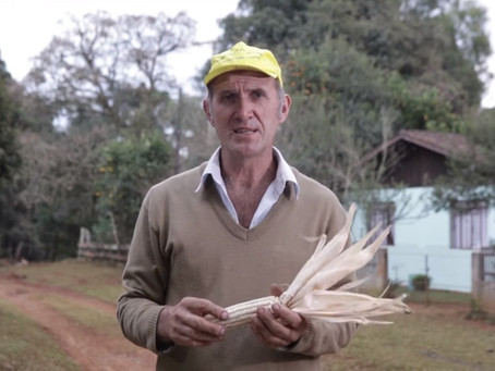 Feijão Amendoim Agroecológico